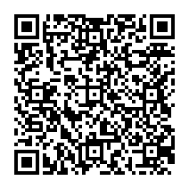 QR to open the iOS build